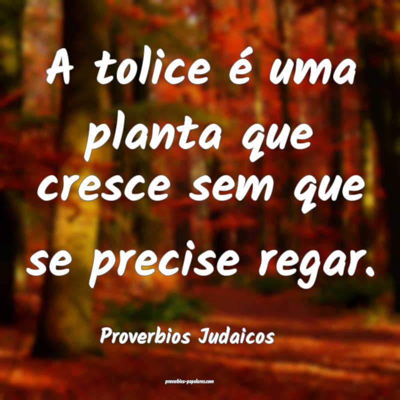 A tolice é uma planta que cresce sem que se precise regar.
...