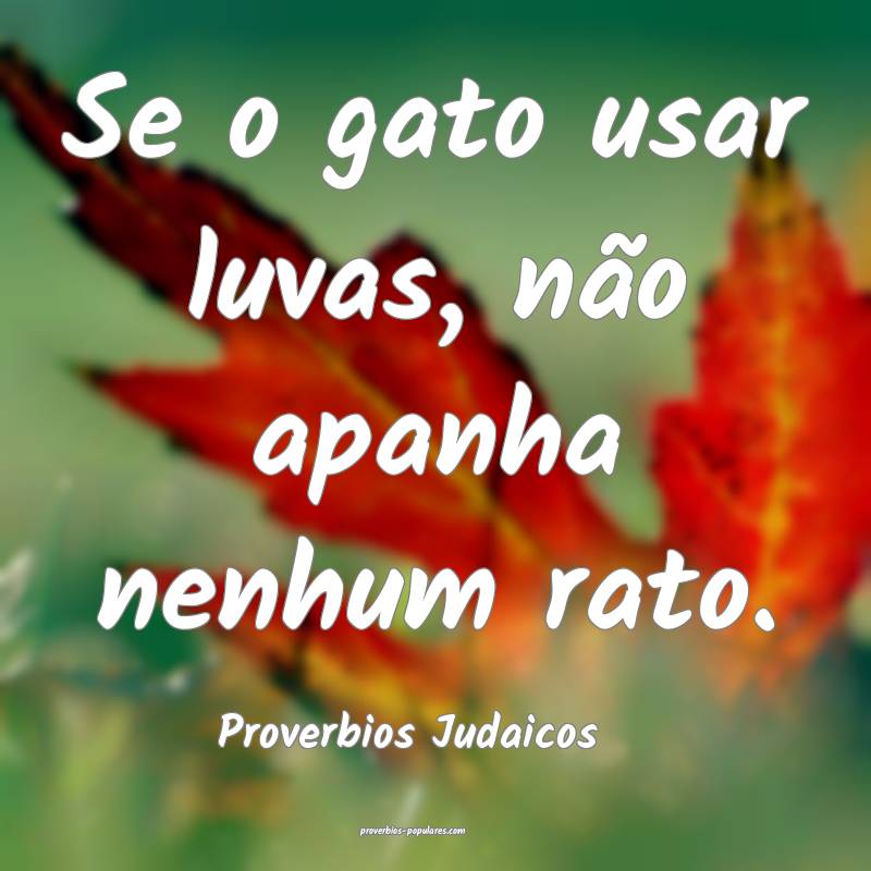 Proverbios Judaicos - Se o gato usar luvas, não a ...