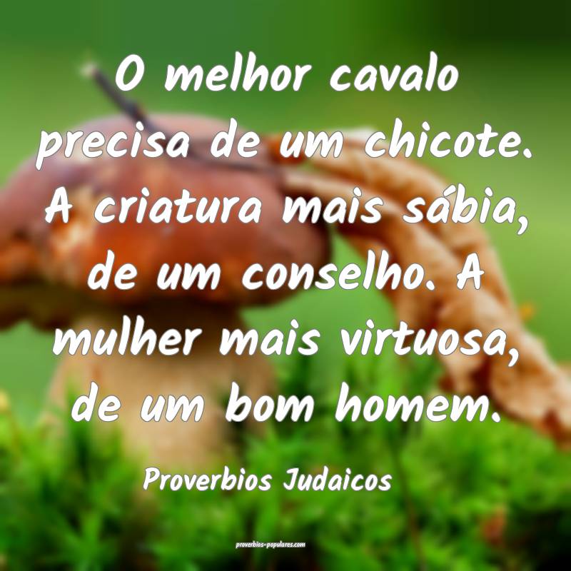 O melhor cavalo precisa de um chicote. A criatura mais sábia, de um c...