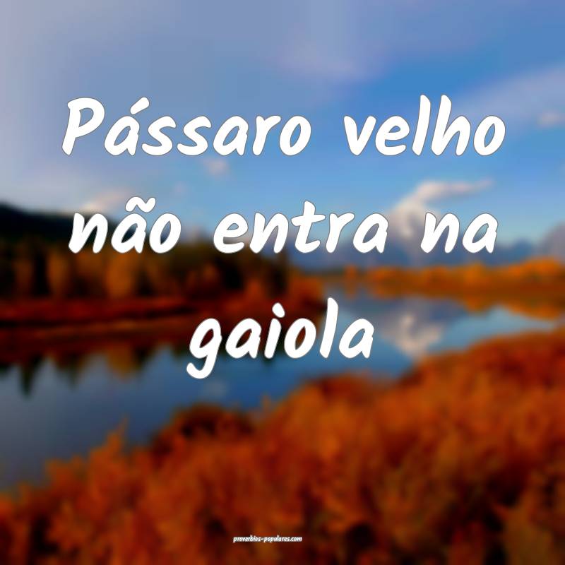 Pássaro velho não entra na gaiola...