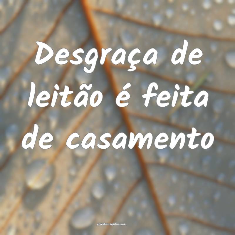 Desgraça de leitão é feita de casamento...