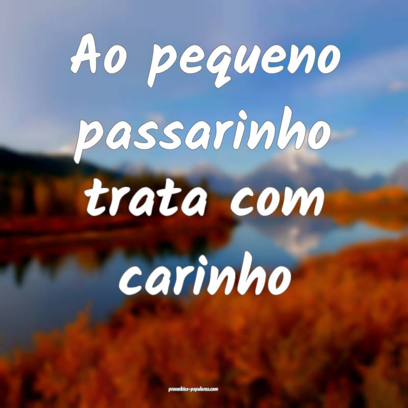 Ao pequeno passarinho trata com carinho...