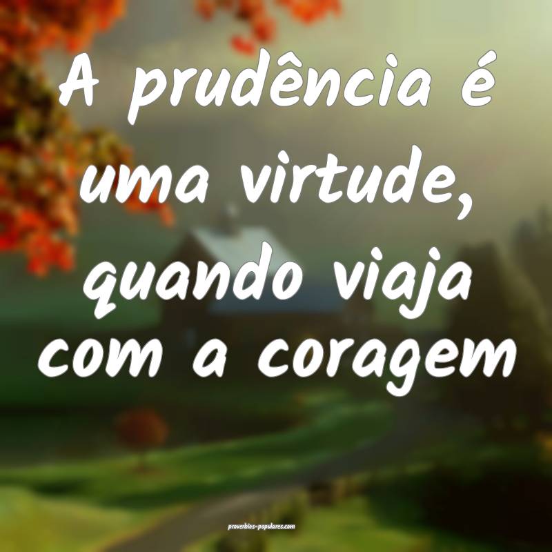 A prudência é uma virtude, quando viaja com a coragem...