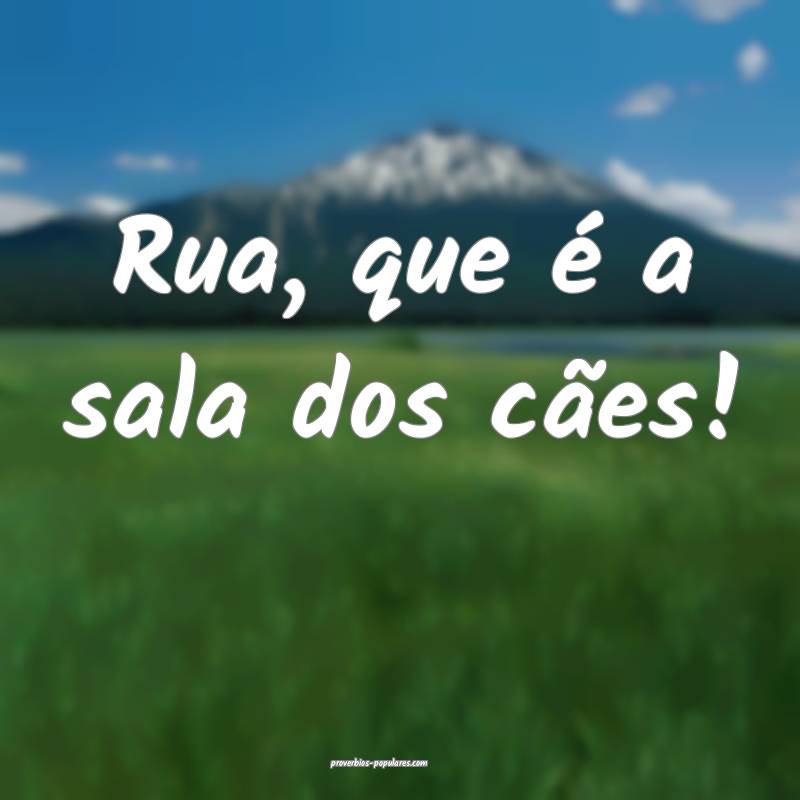Rua, que é a sala dos cães! ...