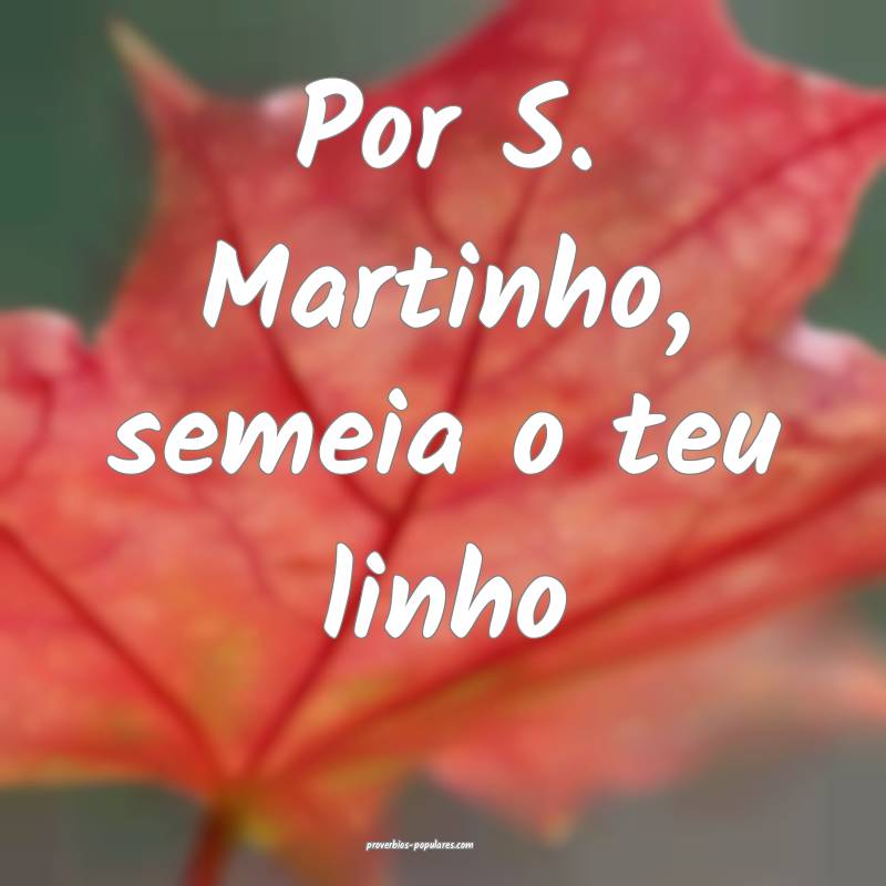 Por S. Martinho, semeia o teu linho...