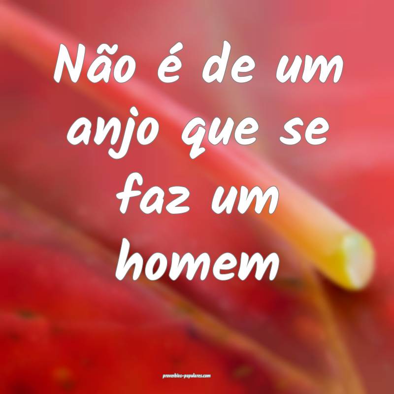 Não é de um anjo que se faz um homem...