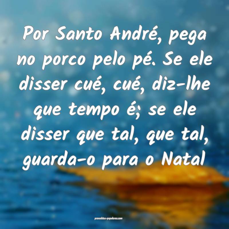 Por Santo André, pega no porco pelo pé. Se ele d ...