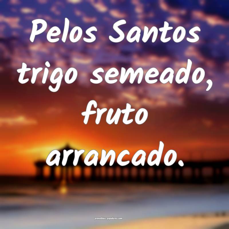 Pelos Santos trigo semeado, fruto arrancado.
...