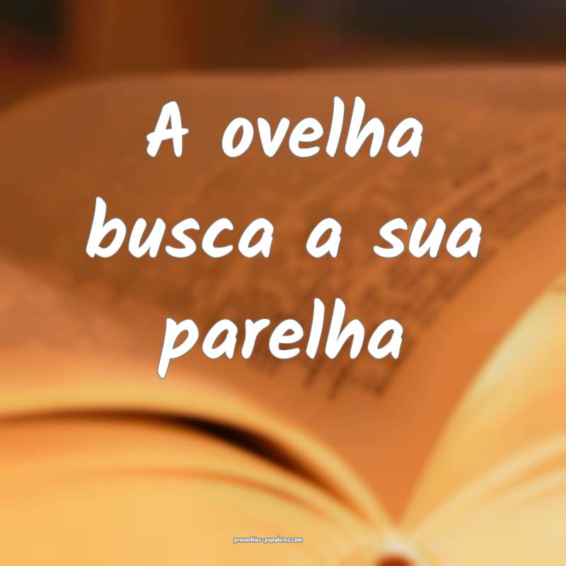 A ovelha busca a sua parelha...