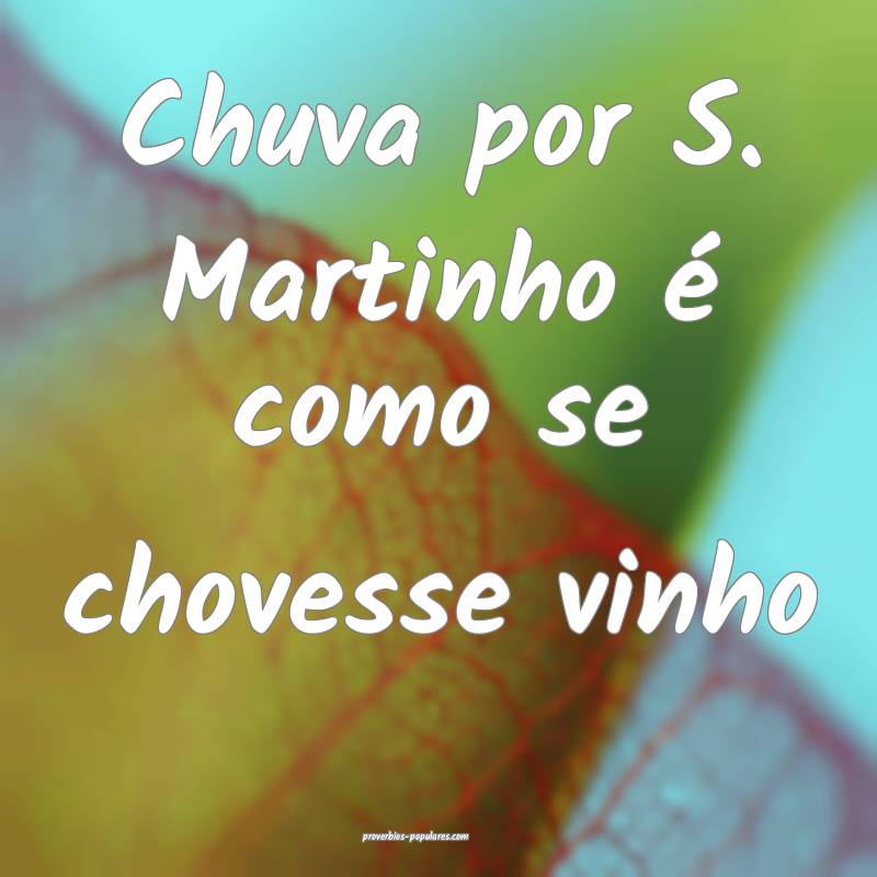 Chuva por S. Martinho é como se chovesse vinho ...