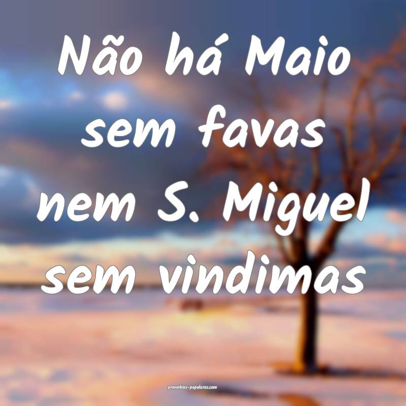 Não há Maio sem favas nem S. Miguel sem vindimas...