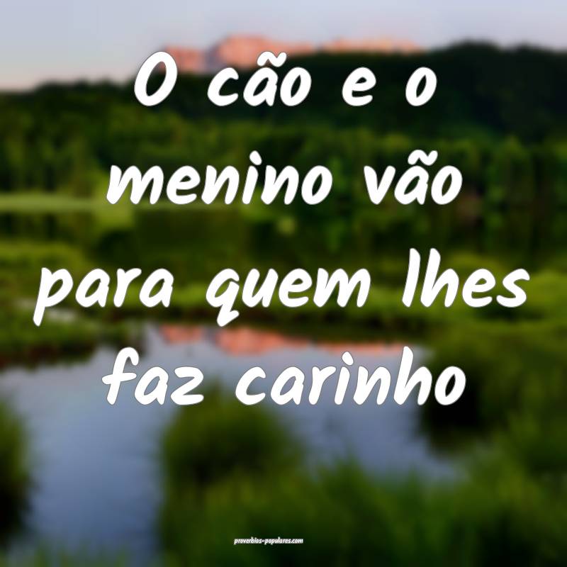 O cão e o menino vão para quem lhes faz carinho...