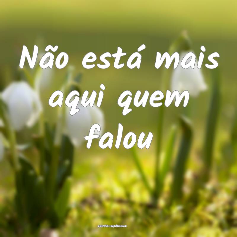 Não está mais aqui quem falou ...