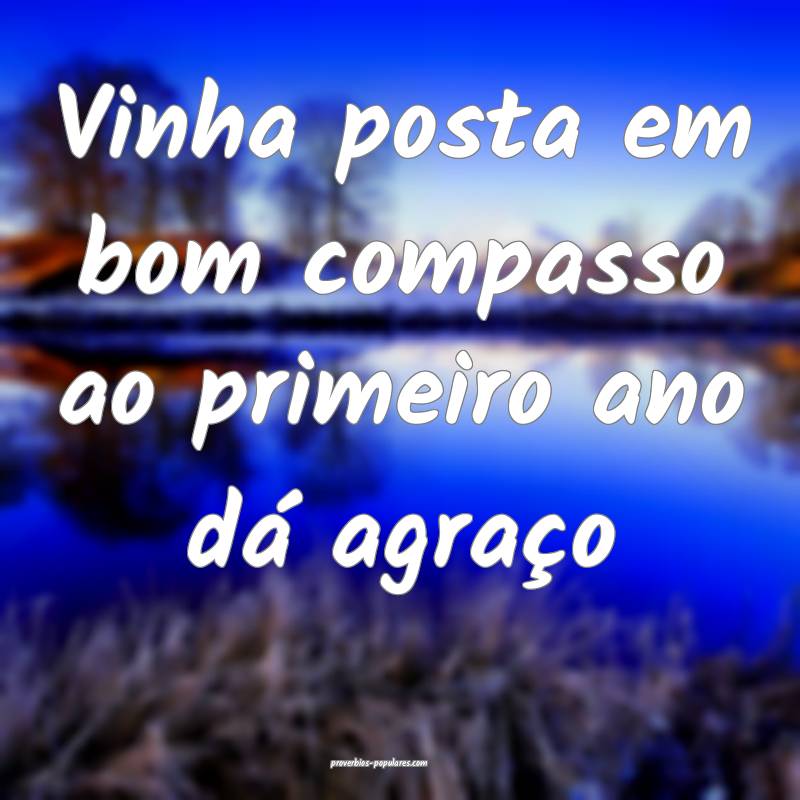 Vinha posta em bom compasso ao primeiro ano dá ag ...