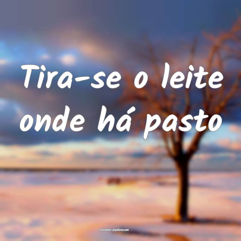 Tira-se o leite onde há pasto...