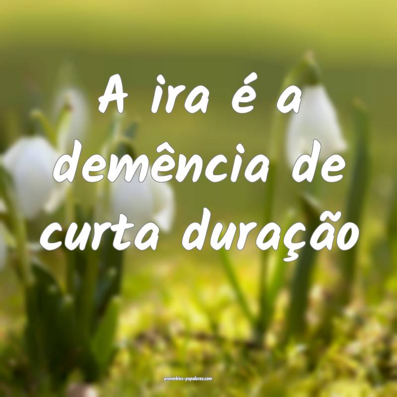 A ira é a demência de curta duração...