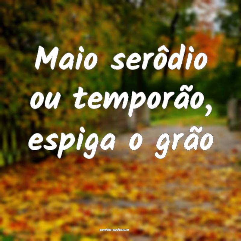 Maio serôdio ou temporão, espiga o grão...