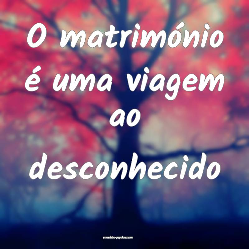 O matrimónio é uma viagem ao desconhecido...