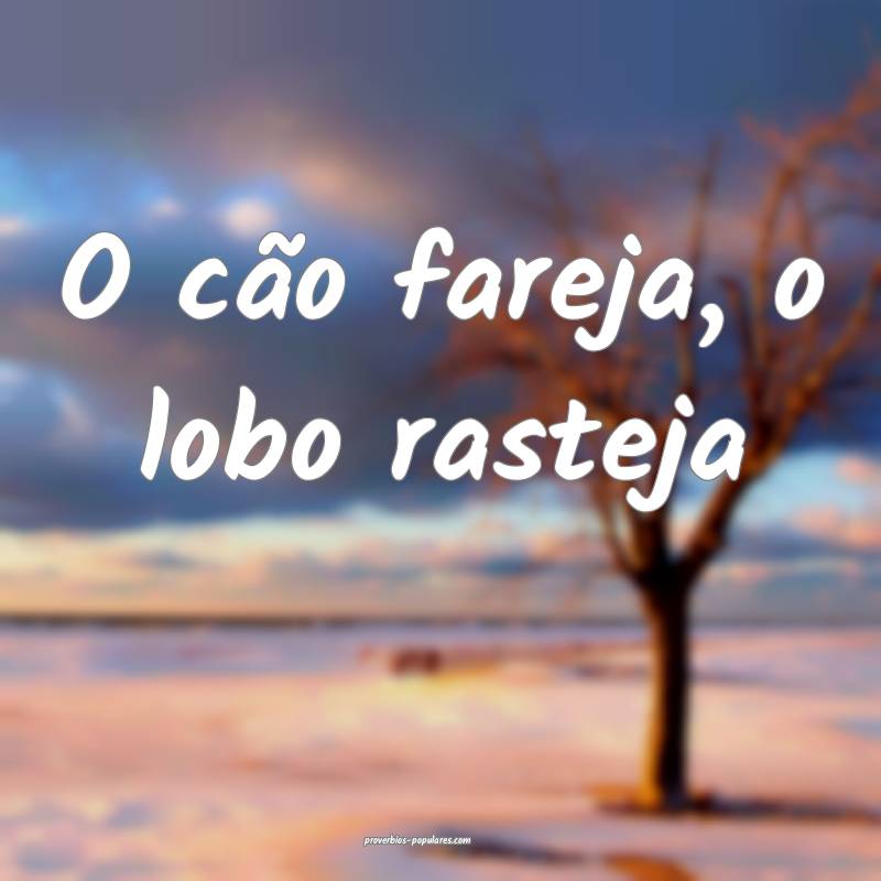 O cão fareja, o lobo rasteja ...