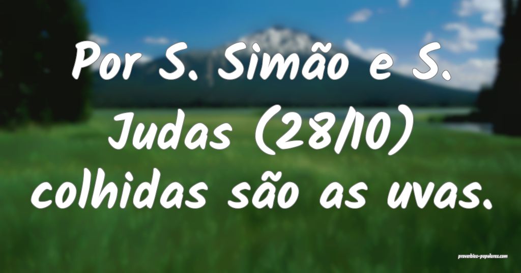 Por S. Simão e S. Judas (28/10) colhidas são as  ...