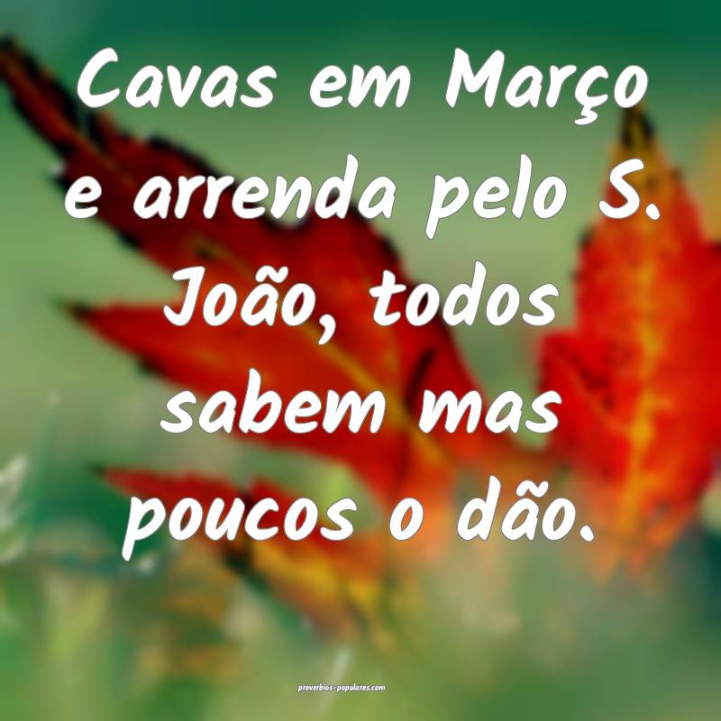 Cavas em Março e arrenda pelo S. João, todos sabem mas poucos o dão...