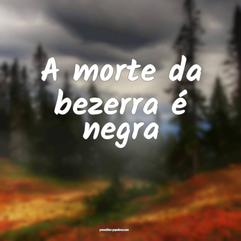 A morte da bezerra é negra ...