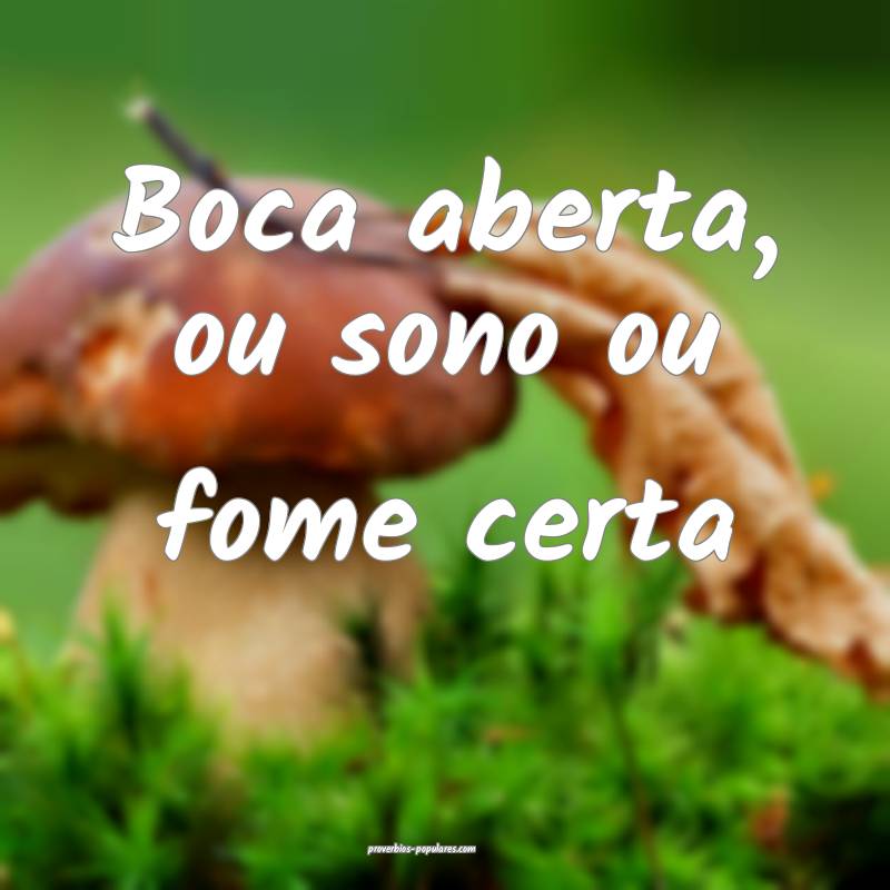 Boca aberta, ou sono ou fome certa...