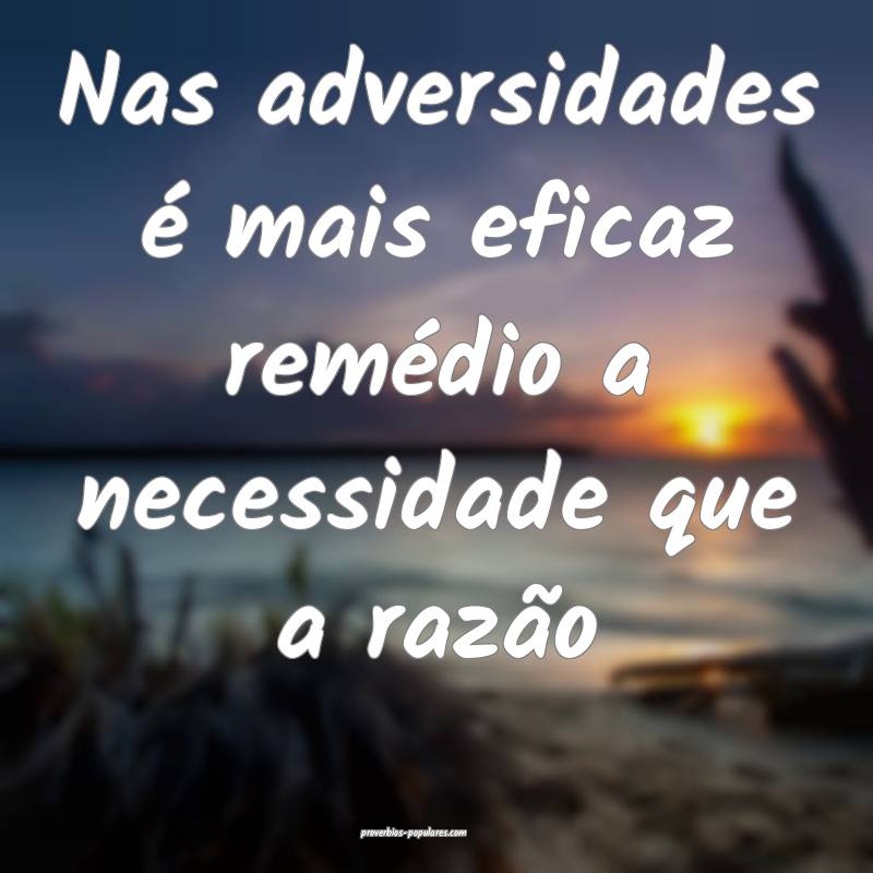 Nas adversidades é mais eficaz remédio a necessi ...