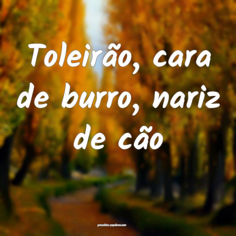 Toleirão, cara de burro, nariz de cão...