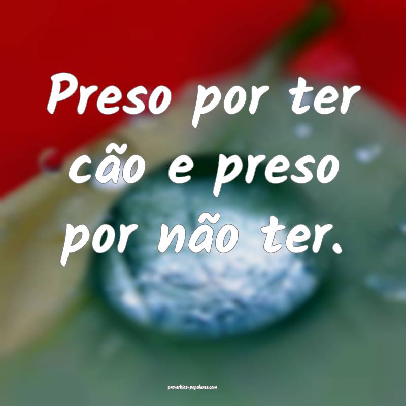 Preso por ter cão e preso por não ter.
...