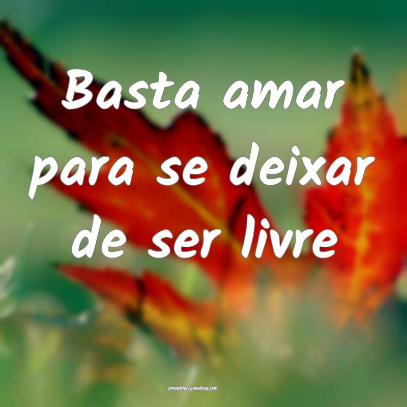 Basta amar para se deixar de ser livre...