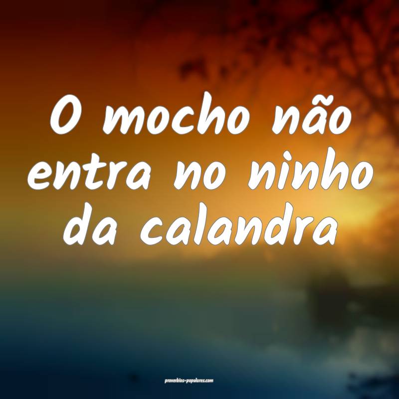 O mocho não entra no ninho da calandra...