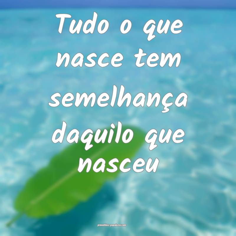 Tudo o que nasce tem semelhança daquilo que nasceu...
