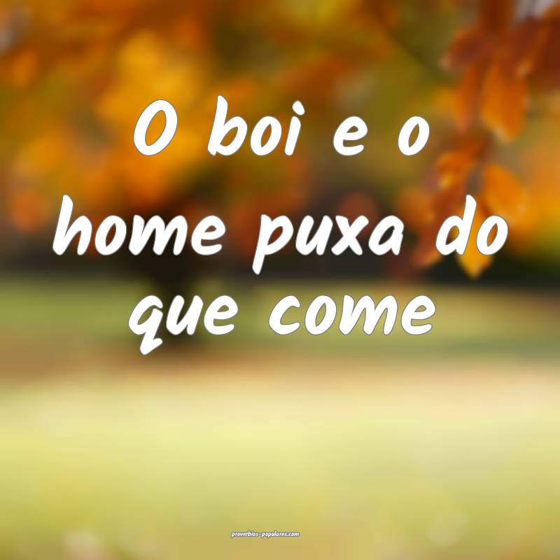 O boi e o home puxa do que come...