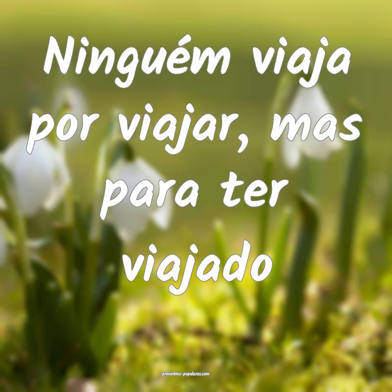 Ninguém viaja por viajar, mas para ter viajado...