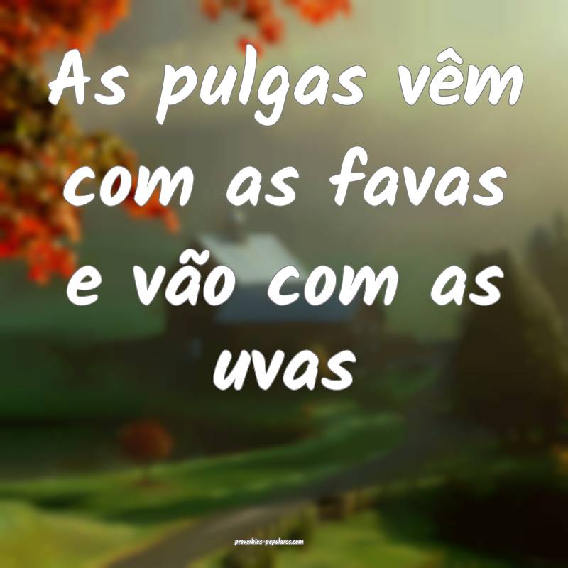As pulgas vêm com as favas e vão com as uvas...