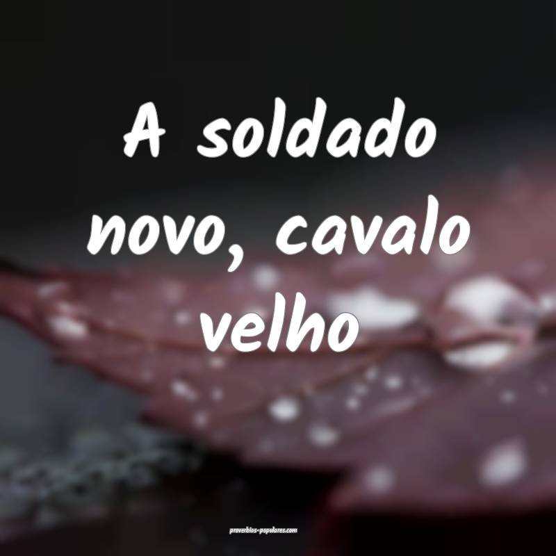 A soldado novo, cavalo velho...