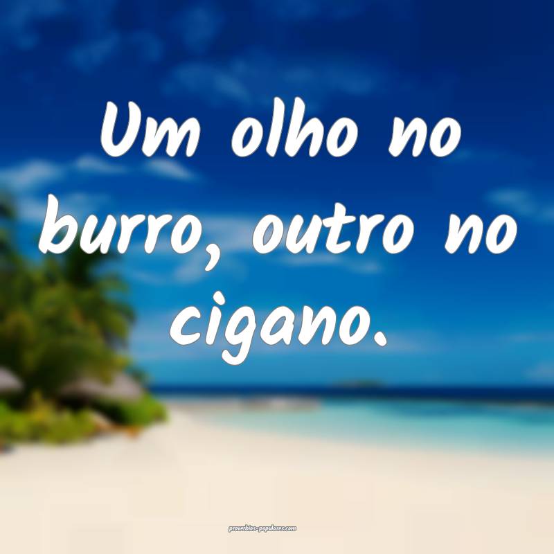 Um olho no burro, outro no cigano.
 ...