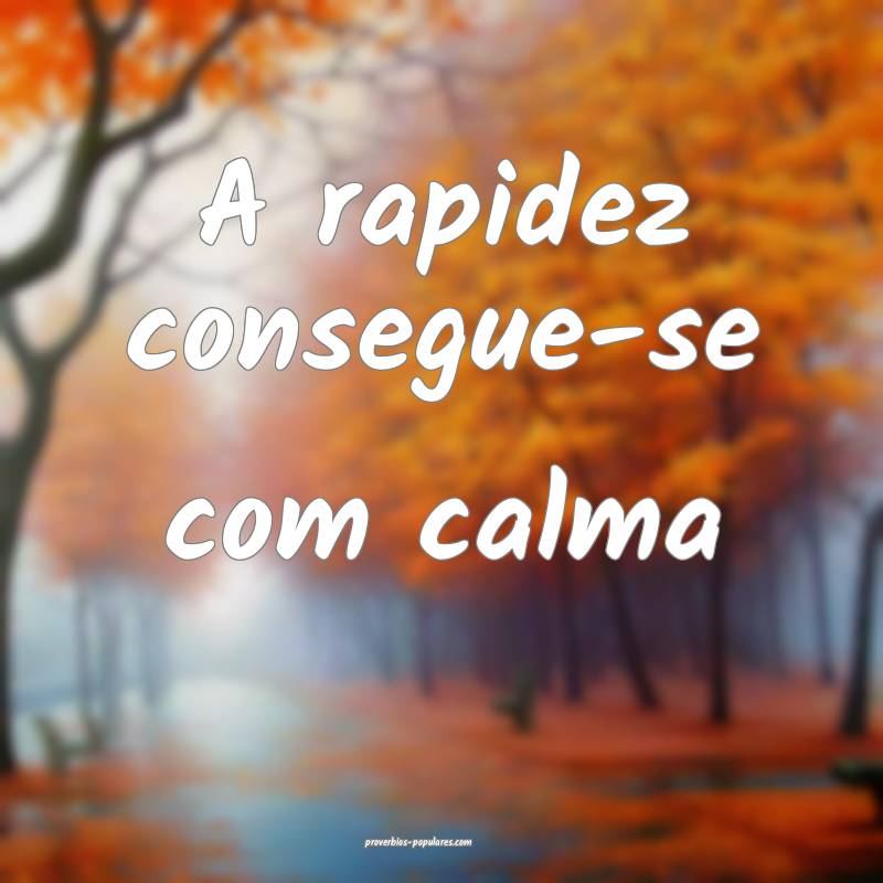 A rapidez consegue-se com calma ...