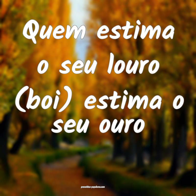 Quem estima o seu louro (boi) estima o seu ouro...