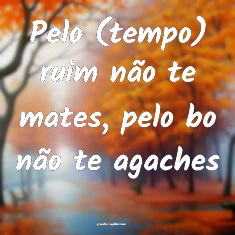 Pelo (tempo) ruim não te mates, pelo bo não te a ...