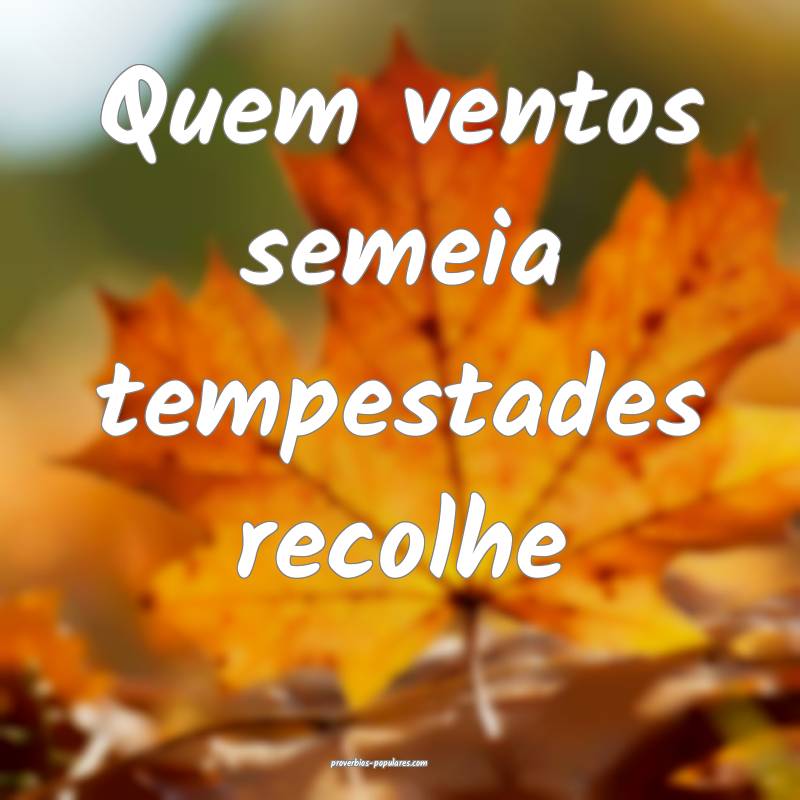 Quem ventos semeia tempestades recolhe...