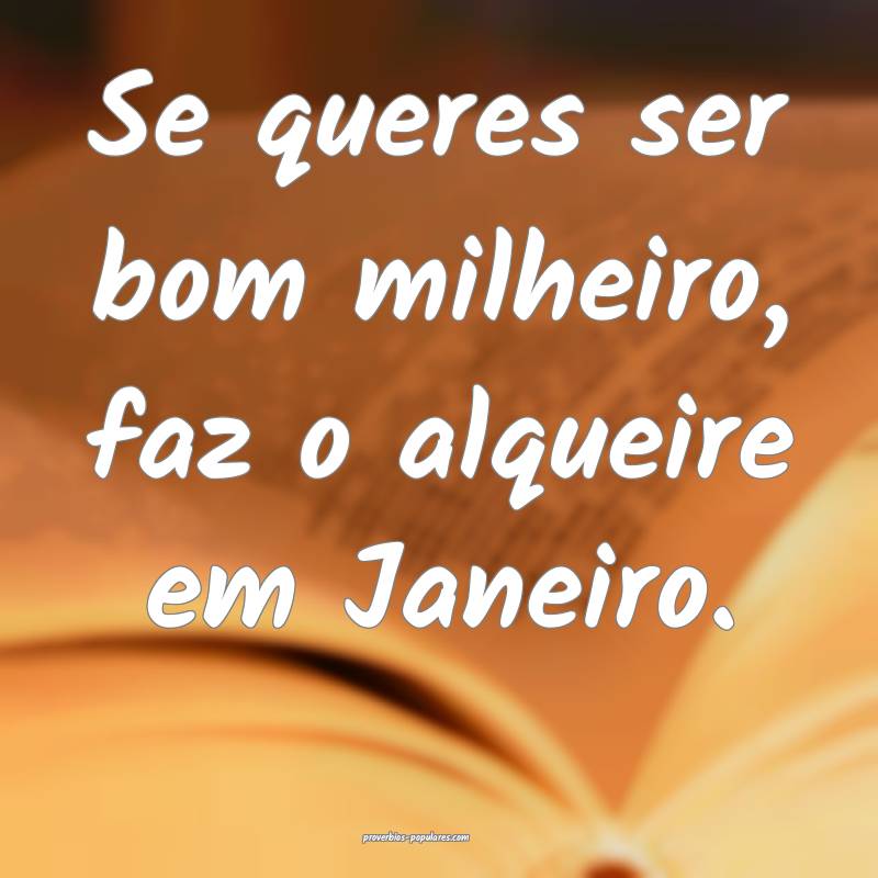 Se queres ser bom milheiro, faz o alqueire em Janeiro....