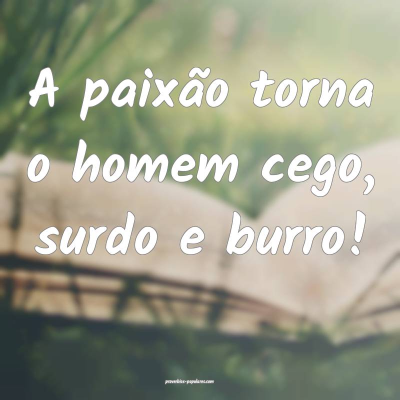 A paixão torna o homem cego, surdo e burro! ...