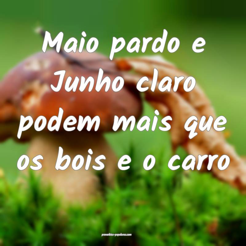 Maio pardo e Junho claro podem mais que os bois e o carro...