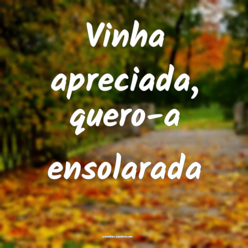 Vinha apreciada, quero-a ensolarada...