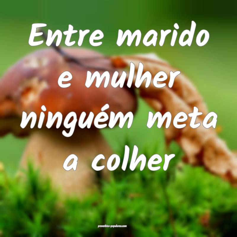 Entre marido e mulher ninguém meta a colher...