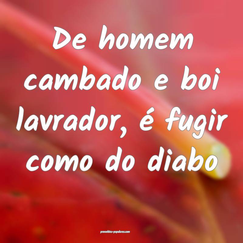 De homem cambado e boi lavrador, é fugir como do  ...