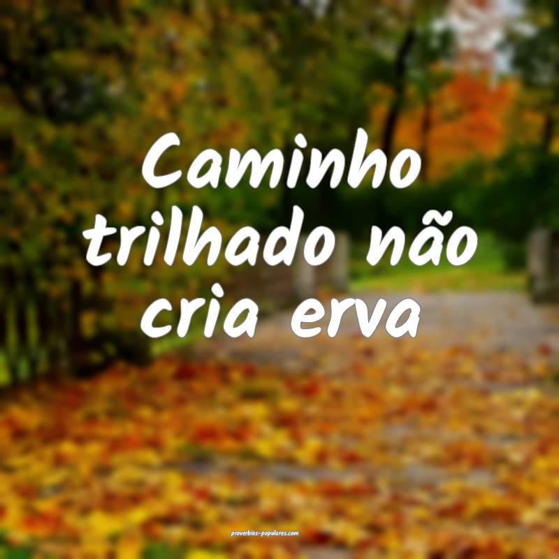 Caminho trilhado não cria erva...