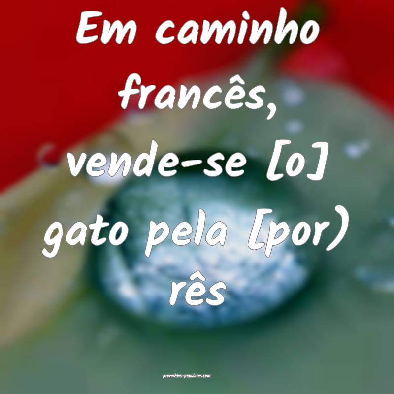 Em caminho francês, vende-se [o] gato pela [por)  ...